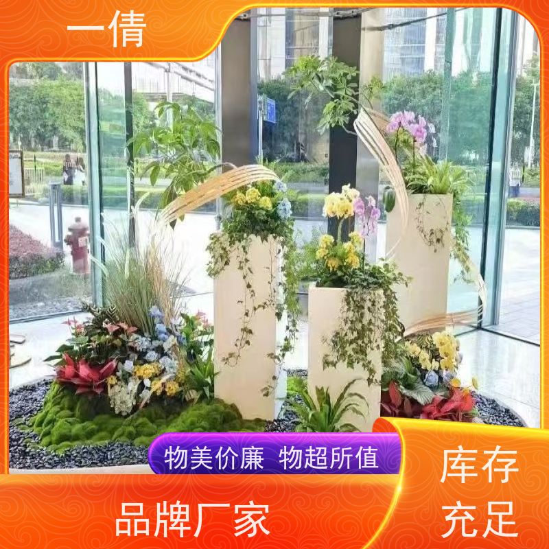 一倩花卉 室内 鸭脚木 开业花篮租赁 桌面绿植 花木护理