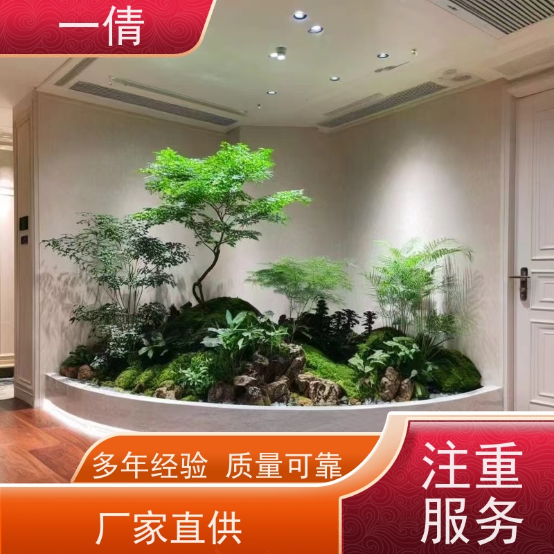 一倩花卉 前台 富贵竹 绿植出售 全城配送 上门养护