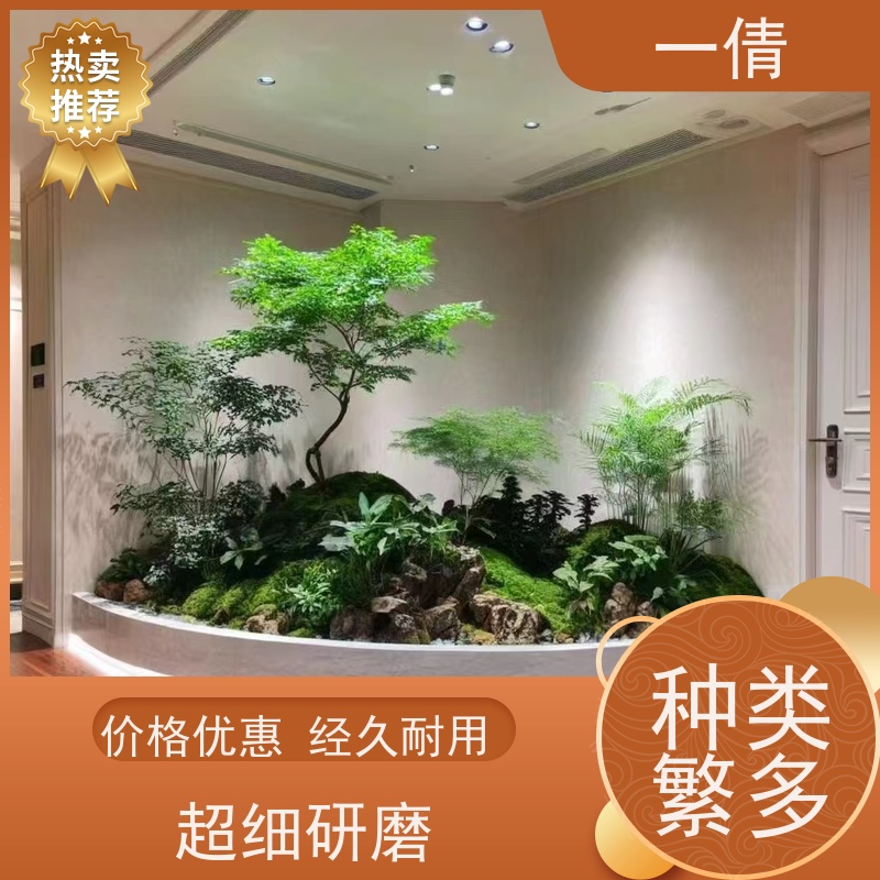 一倩花卉 室内 如意 绿植出售 全城配送 上门养护