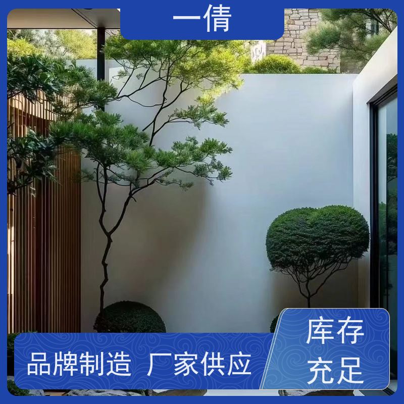 一倩花卉 室内 单杆幸福树 开业花篮租赁 净化空气