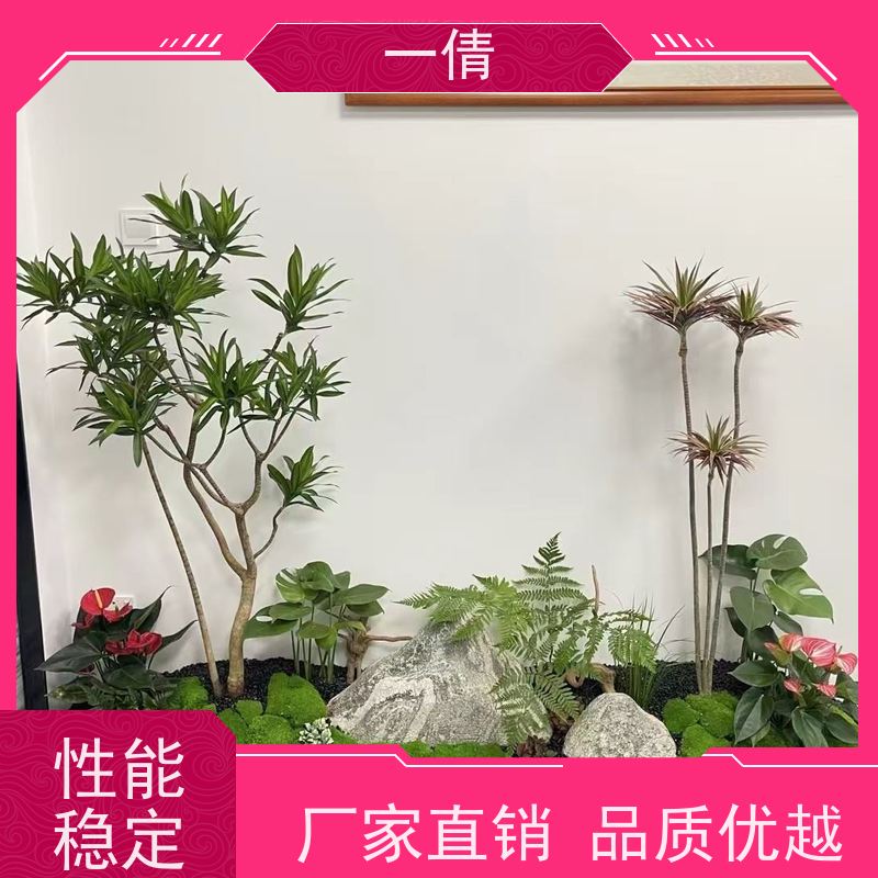一倩花卉 前台 罗汉松 室内植物出租 桌面绿植 花木护理