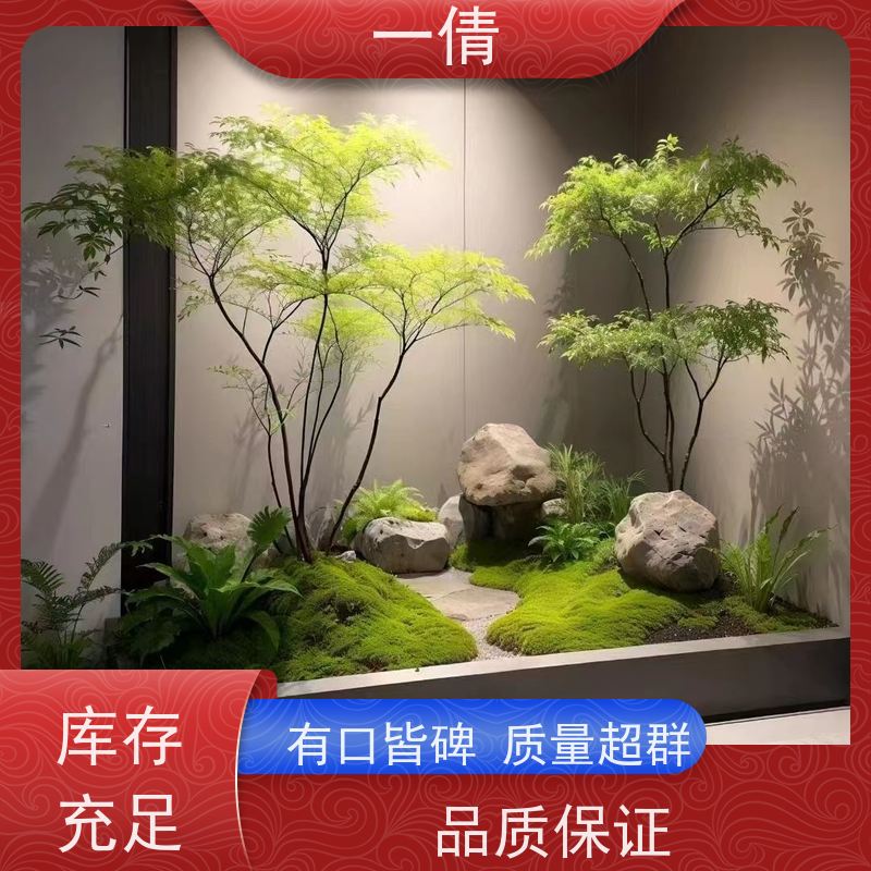 一倩花卉 前台 砖石翡翠 室内植物出租 净化空气