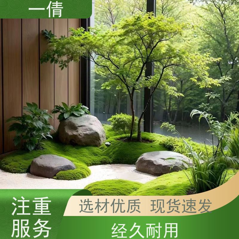 一倩花卉 前台 黄蝴蝶兰 绿植租摆 种类繁多 规格齐全