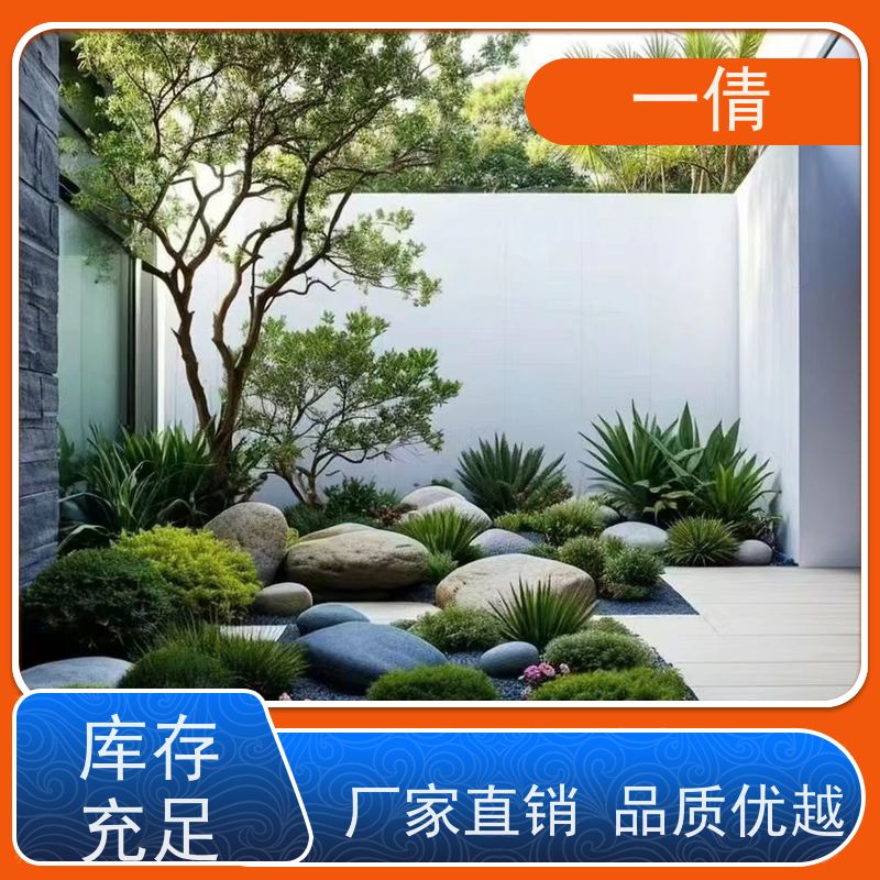 一倩花卉 办公室 好事花生 绿植租赁 种类繁多 规格齐全