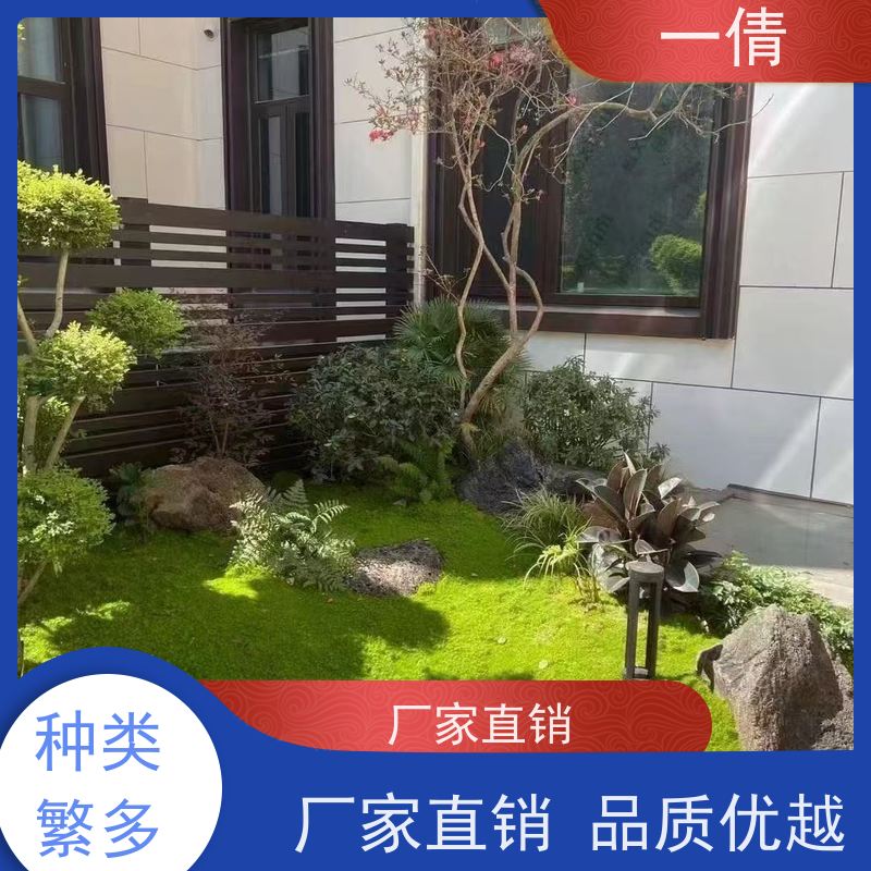 一倩花卉 办公室 碧玉 花卉租赁 种类繁多 规格齐全