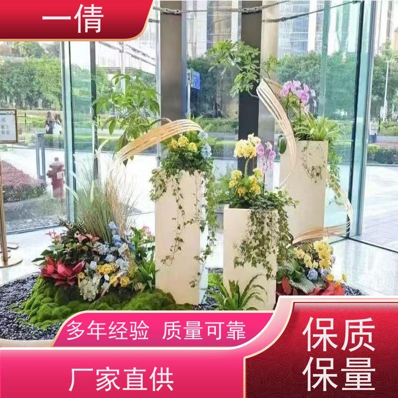 一倩花卉 室内 龟背 花卉租赁 种类繁多 规格齐全