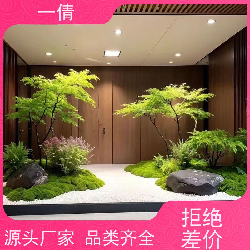 一倩花卉 深圳 如意 绿植租赁 桌面绿植 花木护理