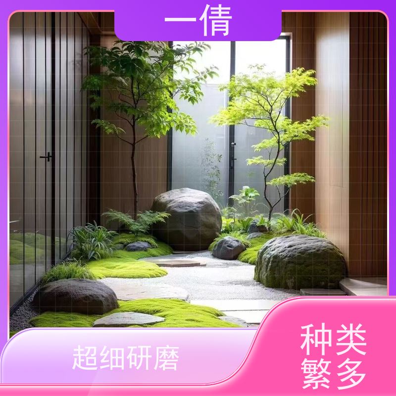 一倩花卉 室内 琴叶榕 室内植物出租 全城配送 上门养护