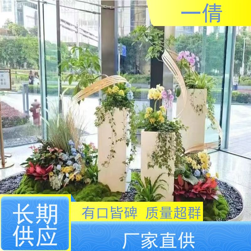 一倩花卉 前台 绿巨人 开业花篮租赁 全城配送 上门养护