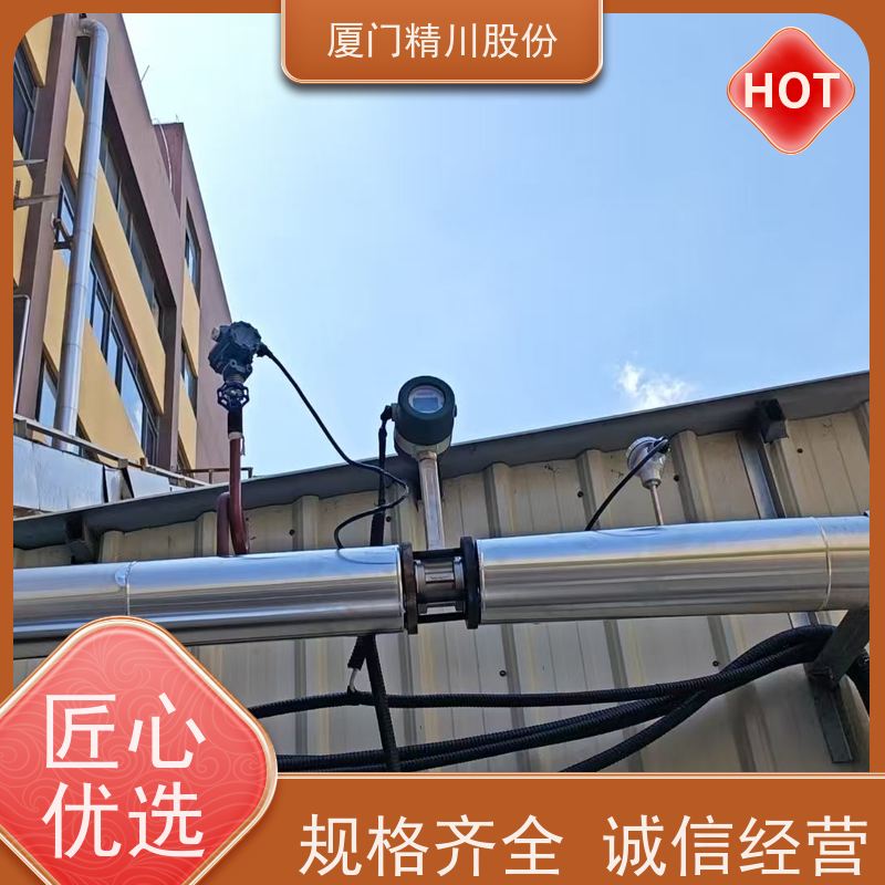 精川股份 合成革厂 压缩空气流量计 分体式温压补偿 服务量少