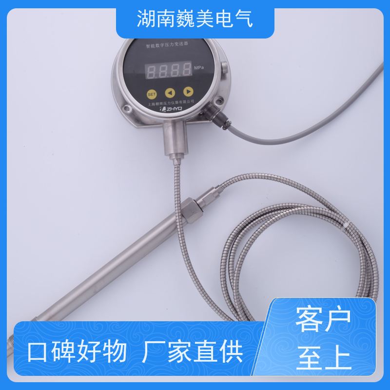 巍美 吹塑机 数显熔体压力表 售前选型参考 规格定制