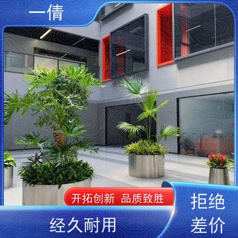 一倩花卉 深圳 金心铁 开业花篮租赁 种类繁多 规格齐全