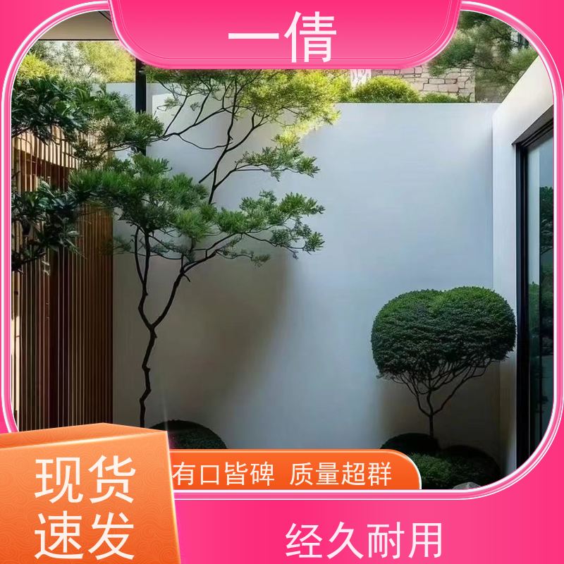 一倩花卉 办公室 福禄桐 开业花篮租赁 全城配送 上门养护