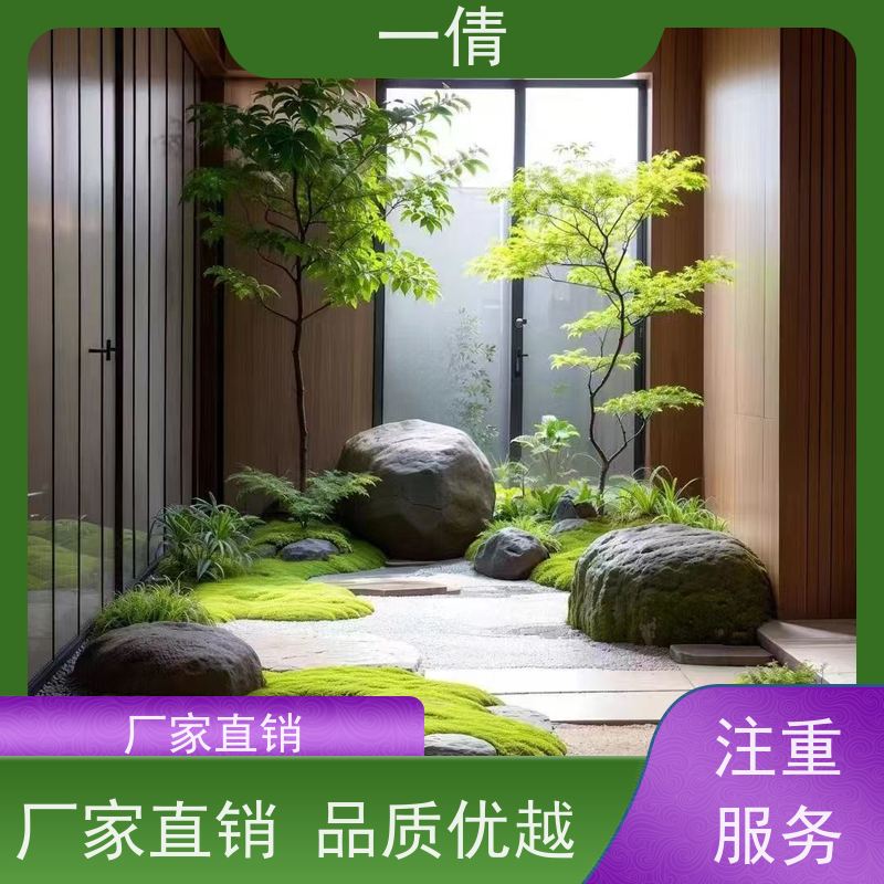 一倩花卉 室内 夏威夷竹 开业花篮租赁 桌面绿植 花木护理