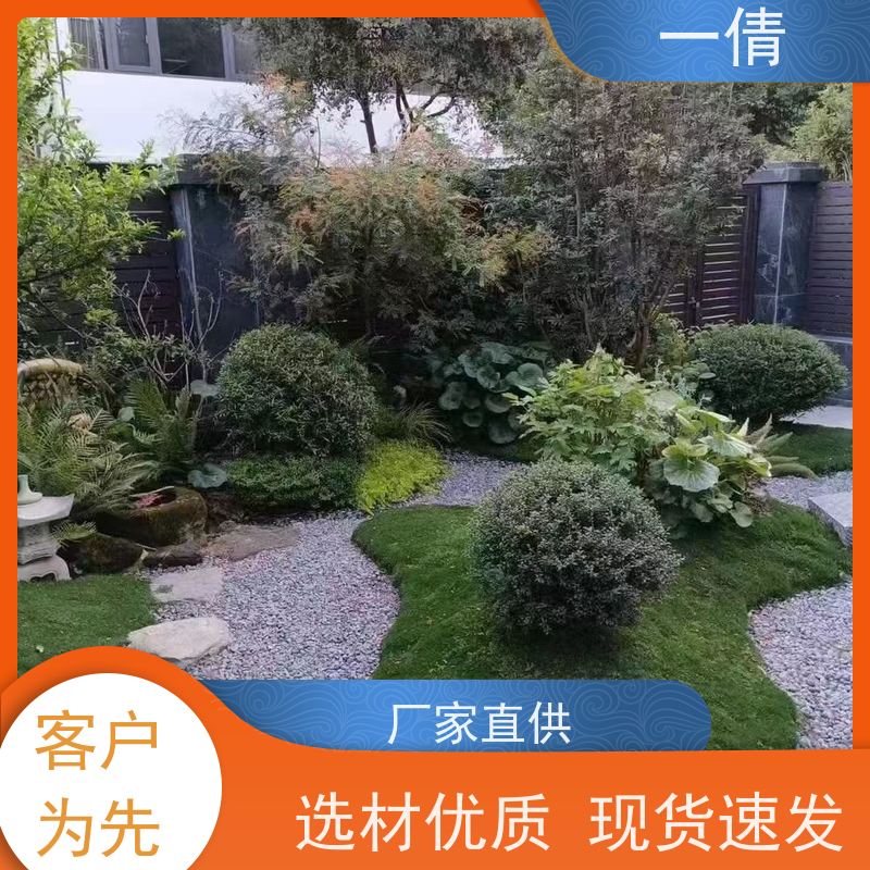 一倩花卉 办公室 富贵籽 开业花篮租赁 种类繁多 规格齐全