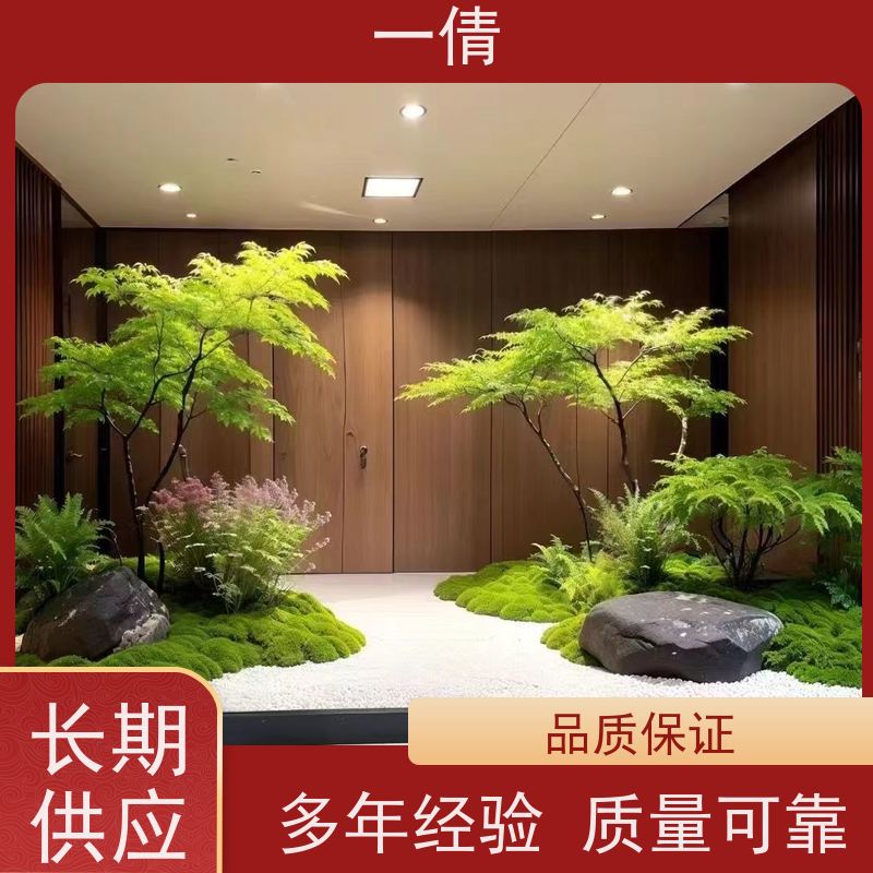 一倩花卉 室内 大杨贵妃 花卉租赁 种类繁多 规格齐全