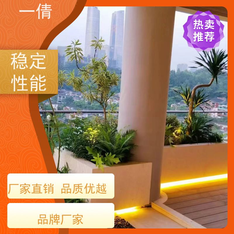 一倩花卉 深圳 红蝴蝶兰 绿植租摆 种类繁多 规格齐全