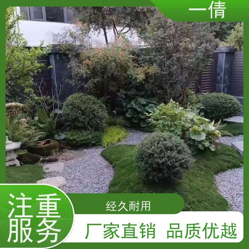 一倩花卉 办公室 袖珍椰子 花卉租赁 全城配送 上门养护