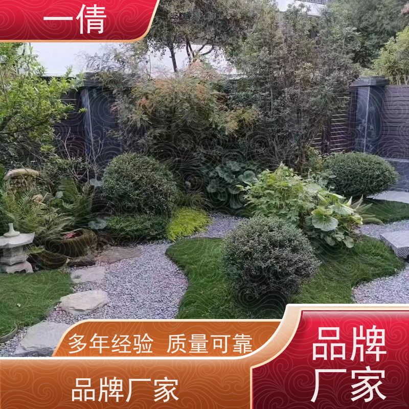 一倩花卉 办公室 龙血树 绿植租赁 桌面绿植 花木护理