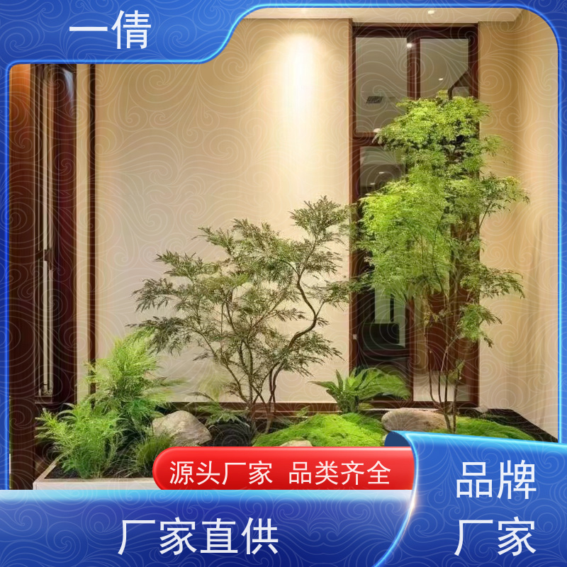 一倩花卉 室内 富贵竹 绿植租赁 桌面绿植 花木护理