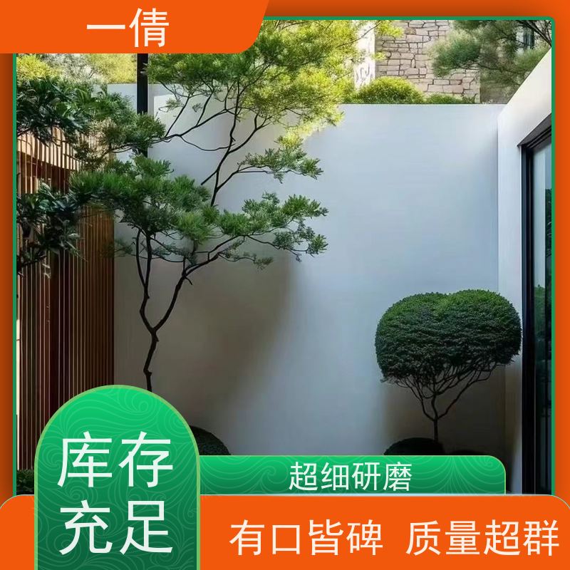 一倩花卉 室内 琴叶榕 绿植租赁 全城配送 上门养护