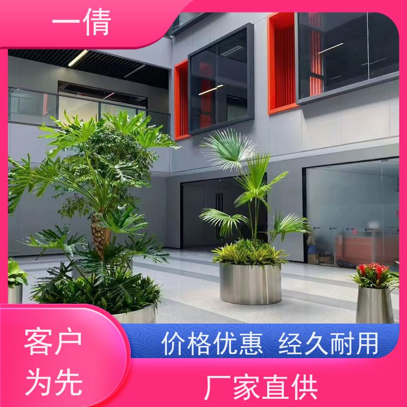 一倩花卉 办公室 七彩铁 绿植出售 种类繁多 规格齐全