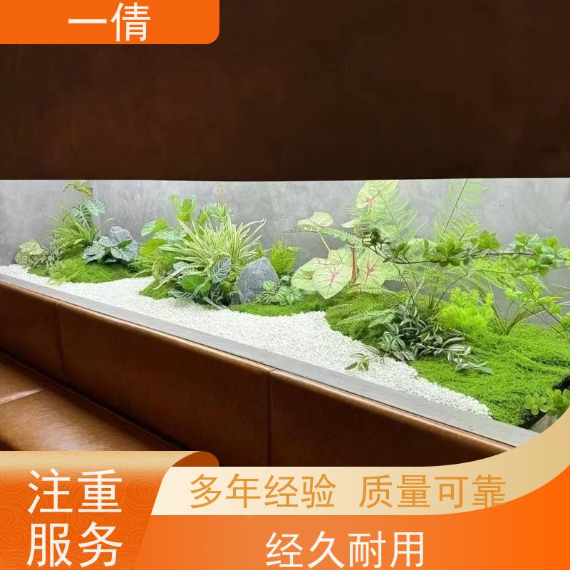 一倩花卉 前台 翡翠 绿植租摆 桌面绿植 花木护理