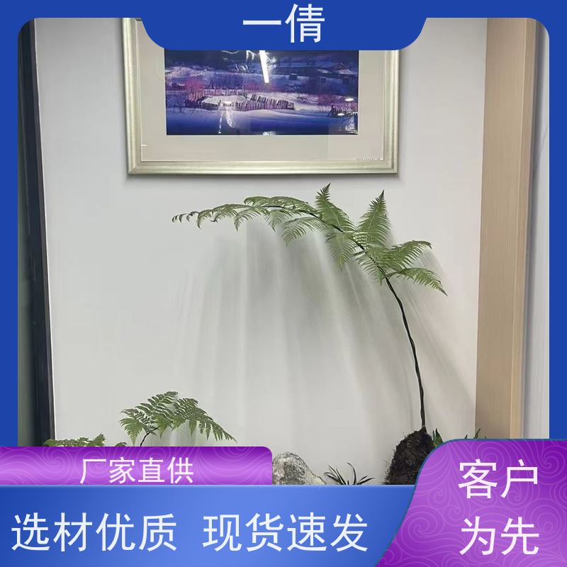 一倩花卉 办公室 也门铁 开业花篮租赁 净化空气