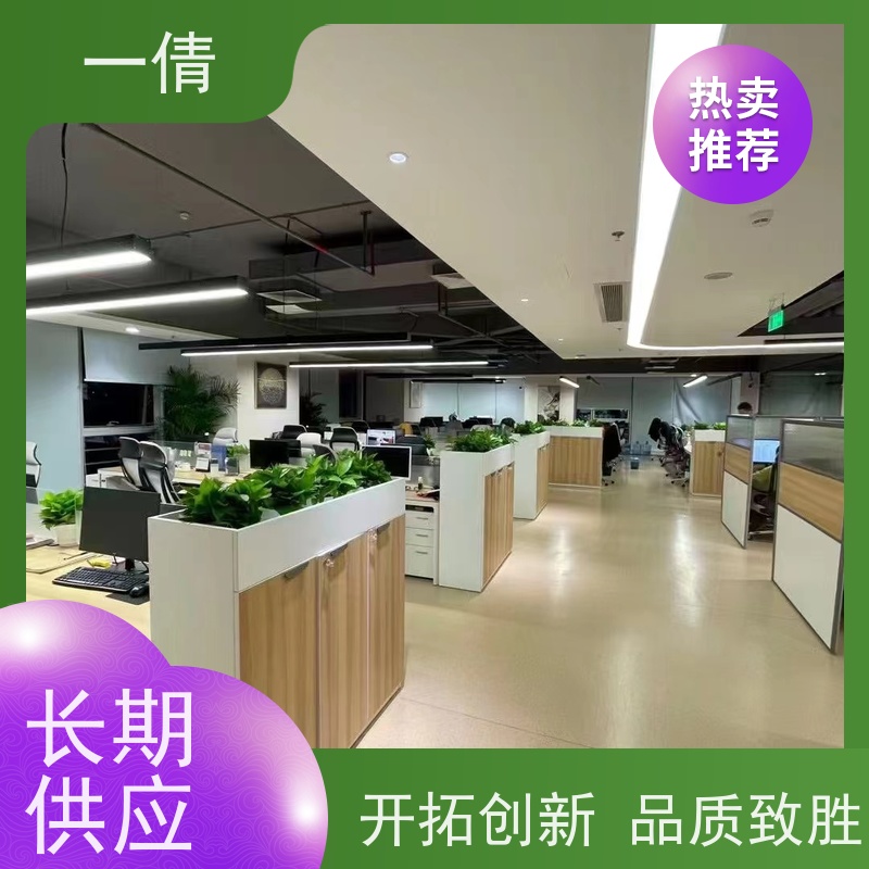 一倩花卉 办公室 观音竹 开业花篮租赁 净化空气