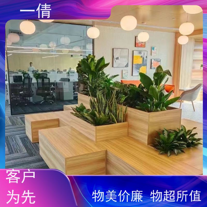 一倩花卉 室内 铜钱草 绿植租赁 全城配送 上门养护