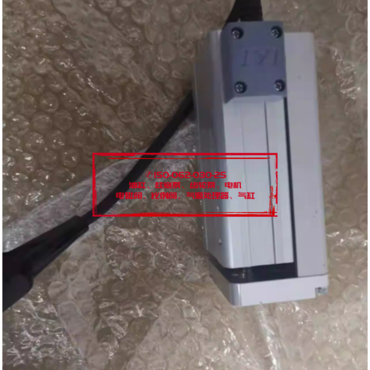  DETER欧境增压泵DPW100004/E DPW1000016 气动泵浦