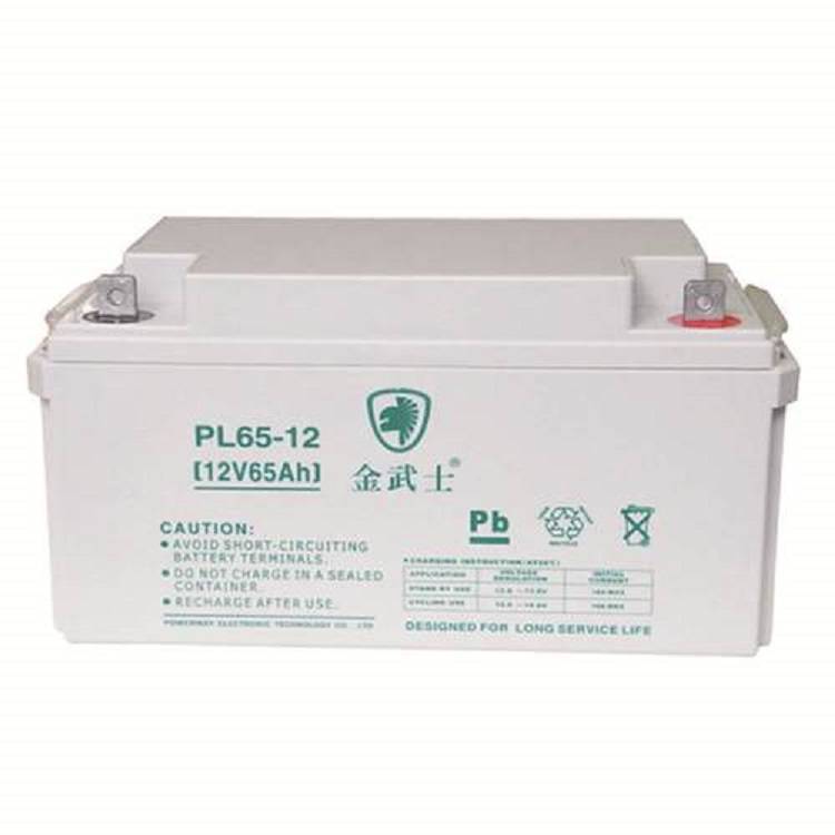 金武士整流电压蓄电池PL24-12 12V24AH控制继电器