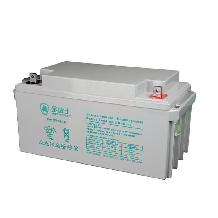 金武士蓄电池PC-12055YL 12V55AH 直流屏 机房