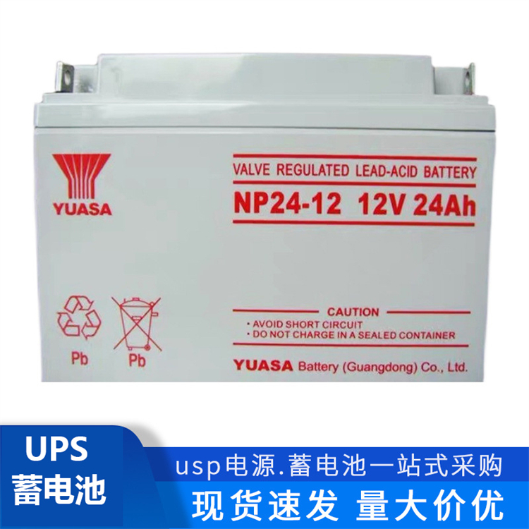 YUASA汤浅蓄电池 NPL24-12 免维护电池12V24AH 直流屏 UPS电源用