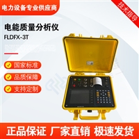 FLDFX-3T电能质量分析仪