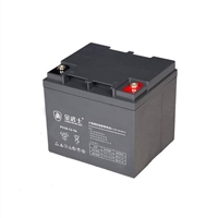 金武士单向排气阀蓄电池PV38-12-YA 12V38AH/20HR