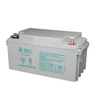 金武士蓄电池PC-12055YL 12V55AH 直流屏 机房