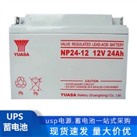 YUASA汤浅蓄电池 NPL24-12 免维护电池12V24AH 直流屏 UPS电源用