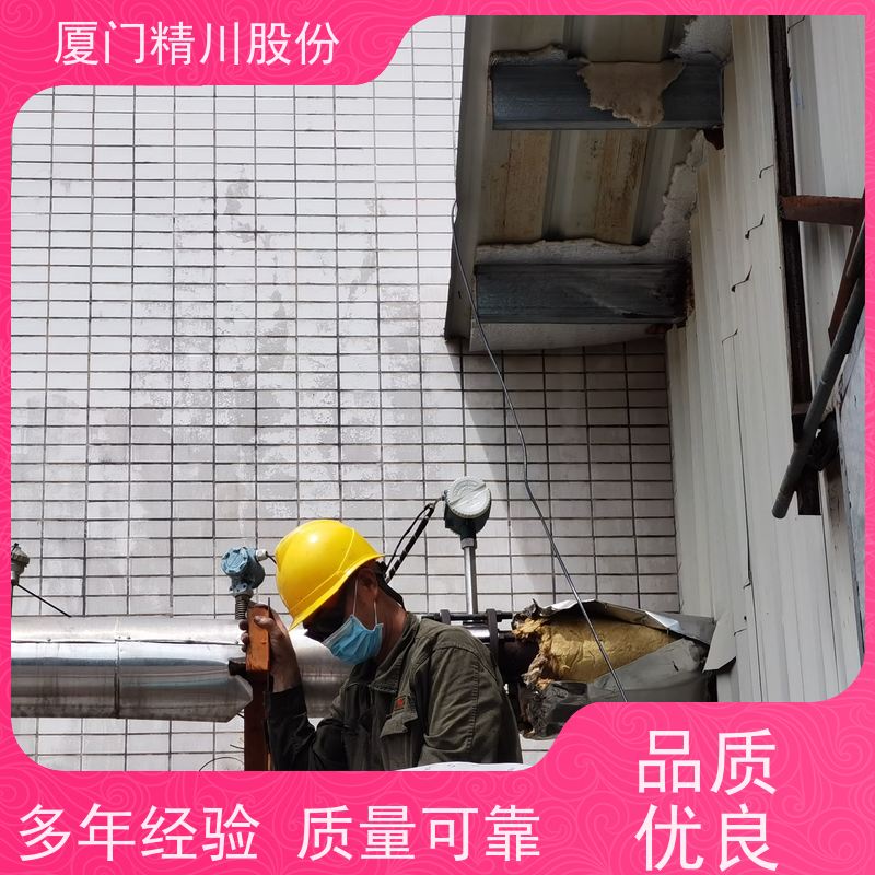 精川股份 合成革厂 锅炉蒸汽流量计 一体式温压补偿 源头生产厂家