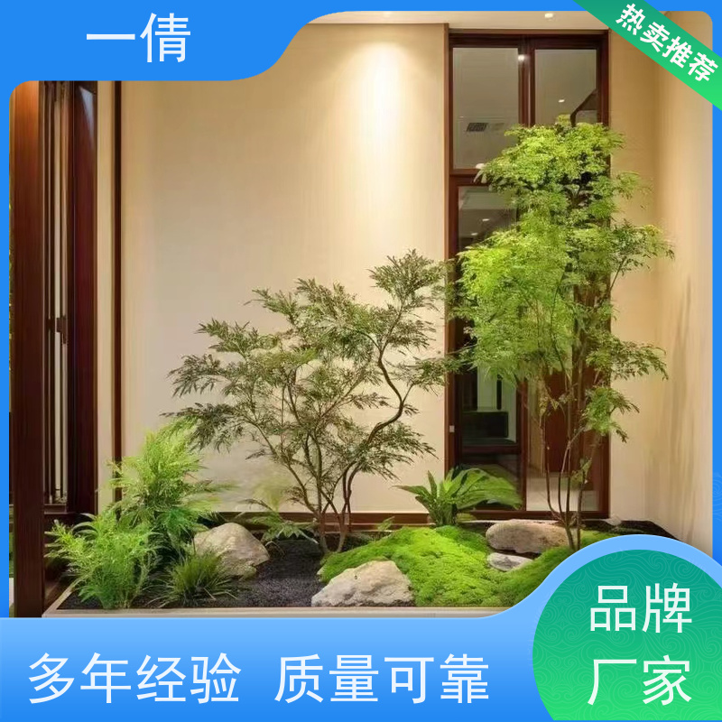 一倩花卉 办公室 琴叶榕 室内植物出租 桌面绿植 花木护理