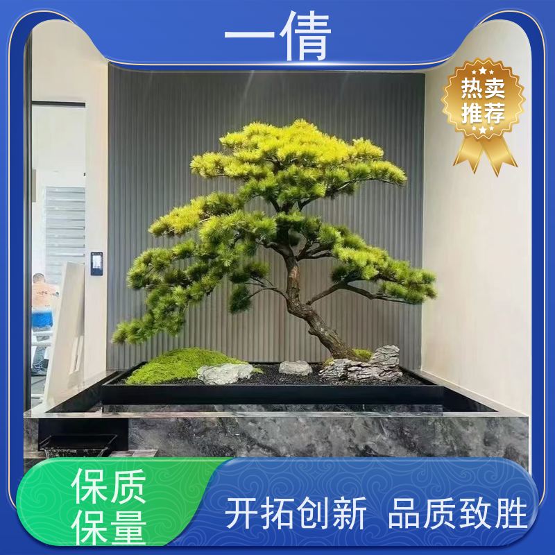 一倩花卉 前台 8层黄金果 绿植出售 全城配送 上门养护