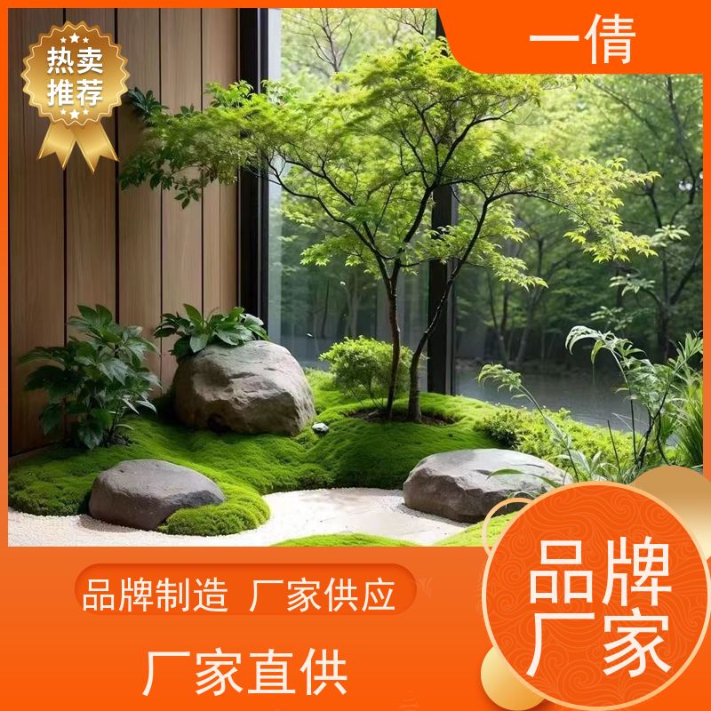 一倩花卉 深圳 60盆四季桔 室内植物出租 桌面绿植 花木护理