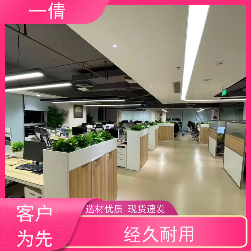 一倩花卉 前台 小仙女海芋 绿植租摆 种类繁多 规格齐全
