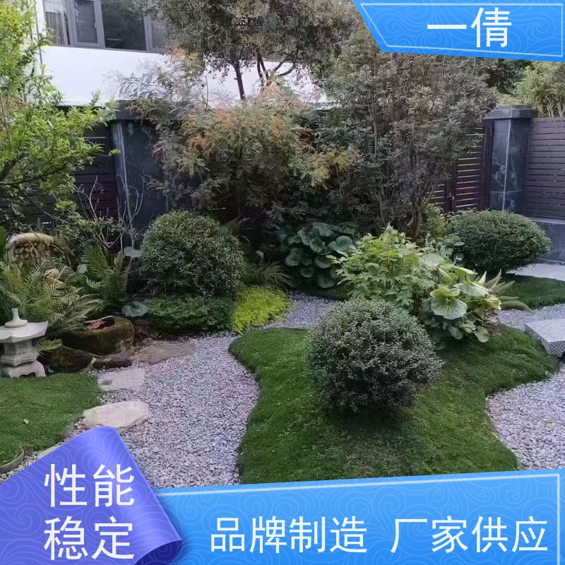 一倩花卉 深圳 富贵竹 绿植租赁 桌面绿植 花木护理