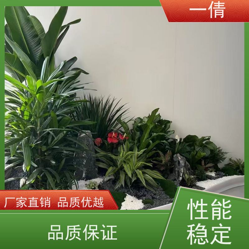 一倩花卉 室内 铁树 绿植租赁 全城配送 上门养护