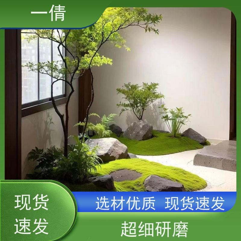 一倩花卉 室内 百合竹 室内植物出租 全城配送 上门养护