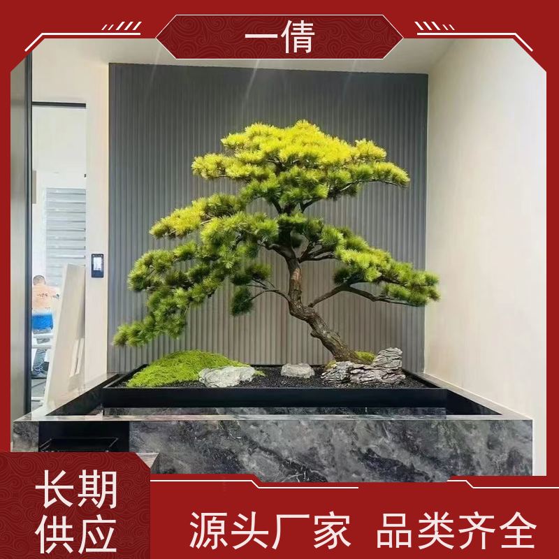 一倩花卉 办公室 柠檬树 花卉租赁 全城配送 上门养护