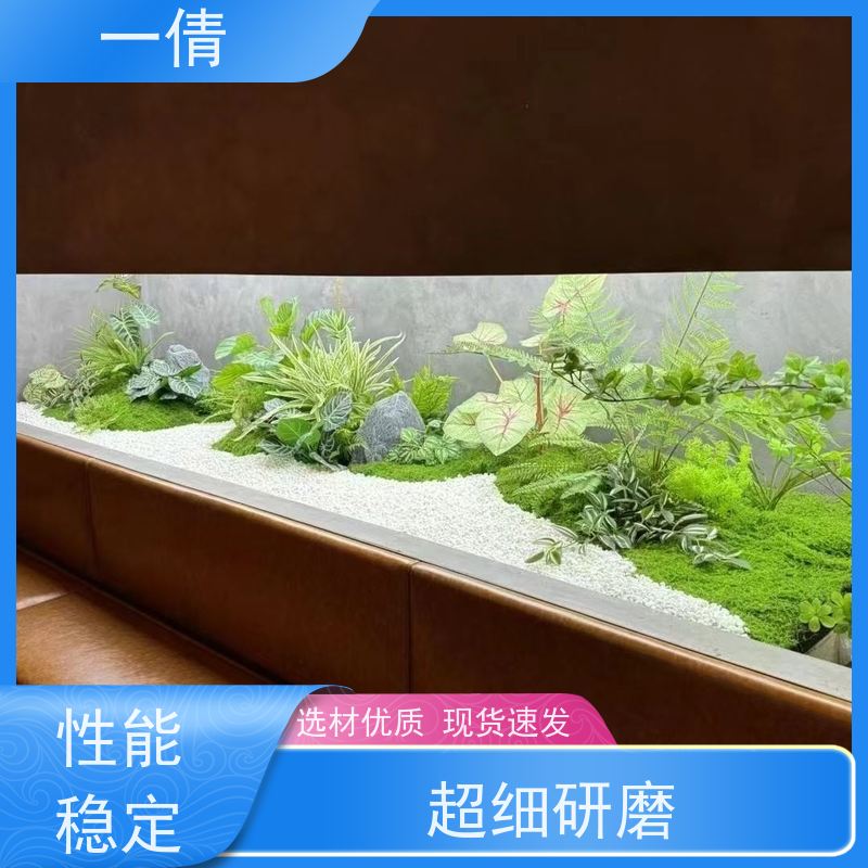 一倩花卉 深圳 苹果树 开业花篮租赁 全城配送 上门养护