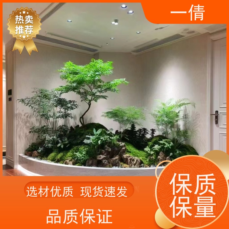 一倩花卉 办公室 百合竹 花卉租赁 全城配送 上门养护