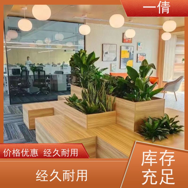 一倩花卉 前台 单杆发财树 绿植租摆 种类繁多 规格齐全